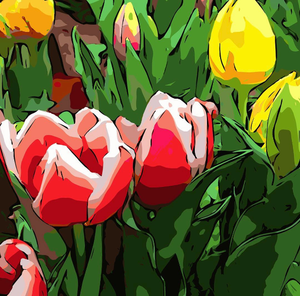 Nashville Artist | Red Tulips with White Edges